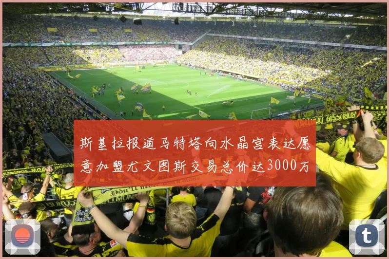 斯基拉报道马特塔向水晶宫表达愿意加盟尤文图斯交易总价达3000万欧元