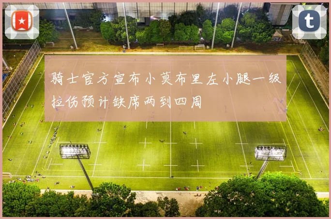 骑士官方宣布小莫布里左小腿一级拉伤预计缺席两到四周