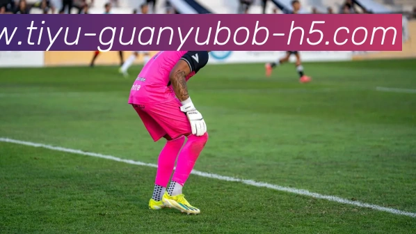 BOB体育平台生态图