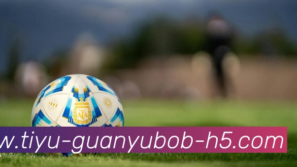 BOB体育APP 封面图