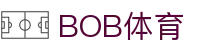 BOB体育-BOB（官网）官方网站-BOBSPORTS